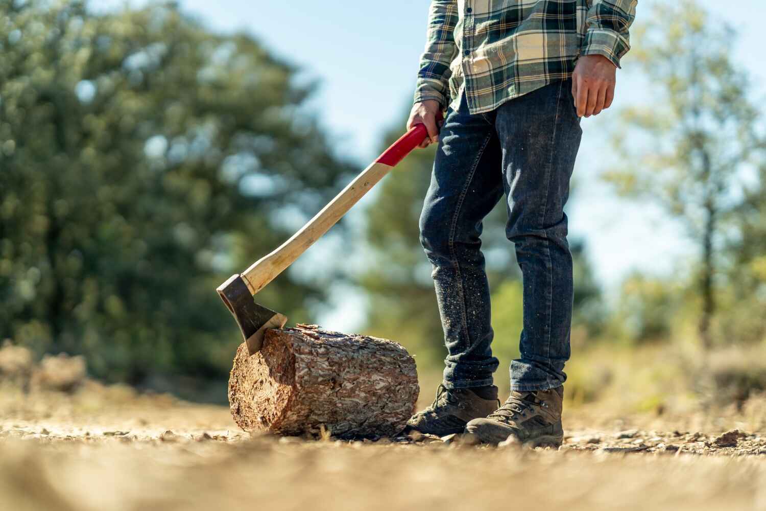 Tree Removal for Businesses in Marthasville, MO